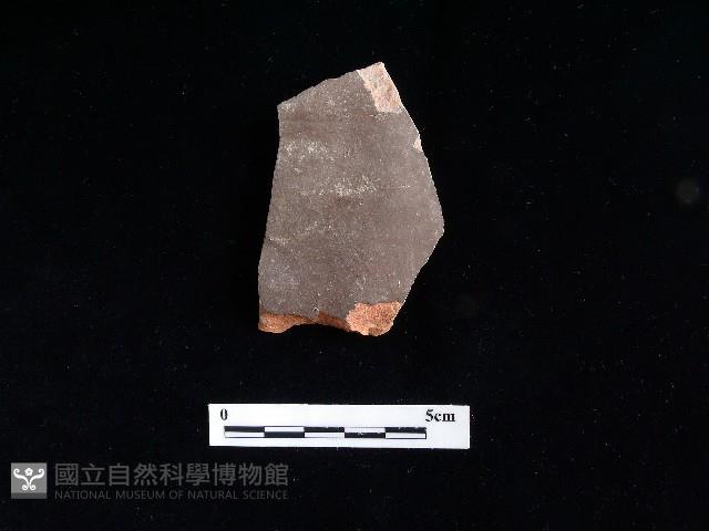 陶片藏品圖，第2張