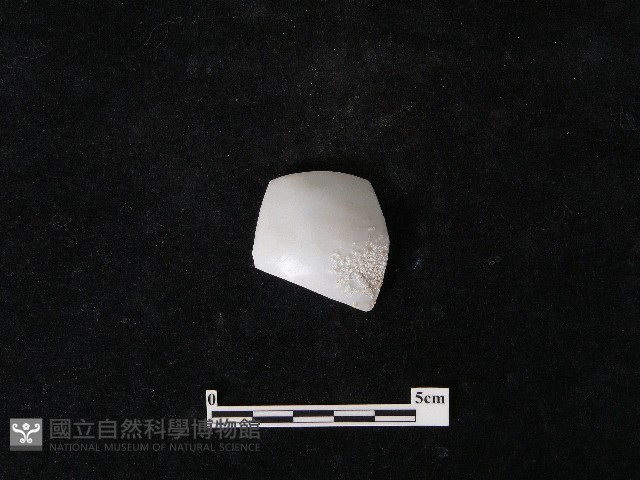 湯匙藏品圖，第2張