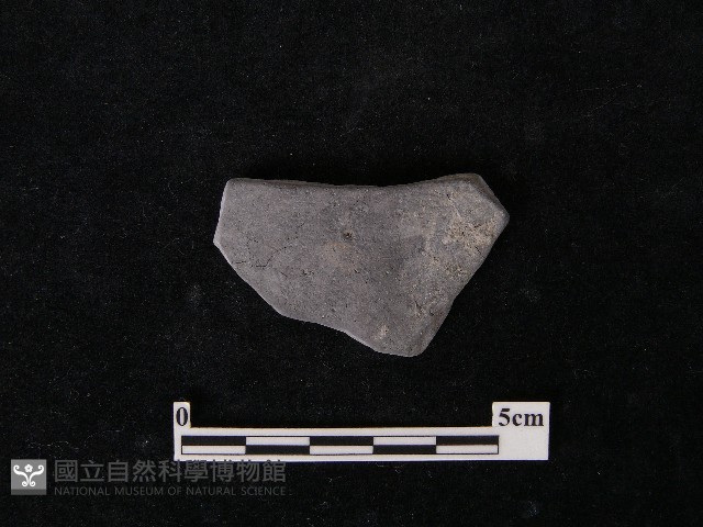 陶片藏品圖，第2張