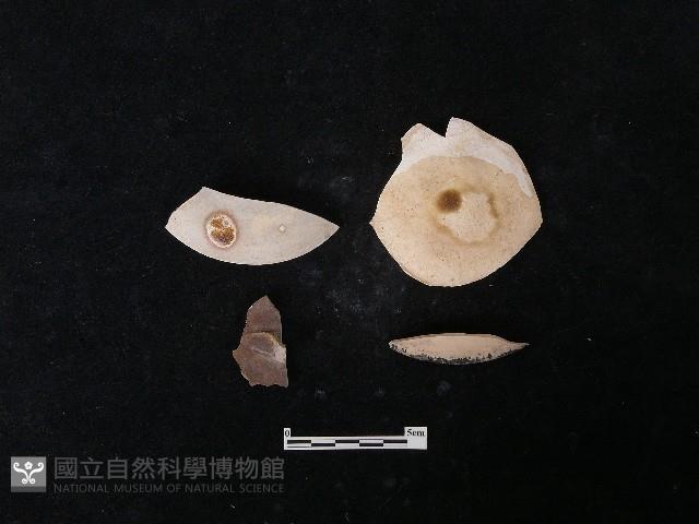 陶蓋藏品圖，第2張