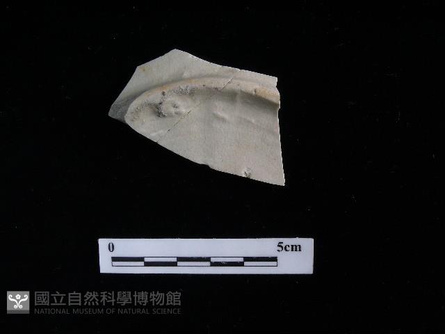 瓷盤藏品圖，第2張