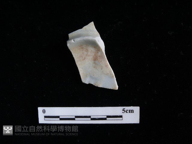 瓷片藏品圖，第2張