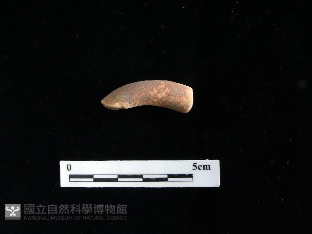 陶把藏品圖，第2張