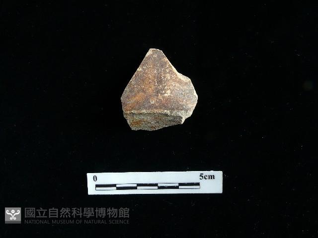 陶片藏品圖，第2張