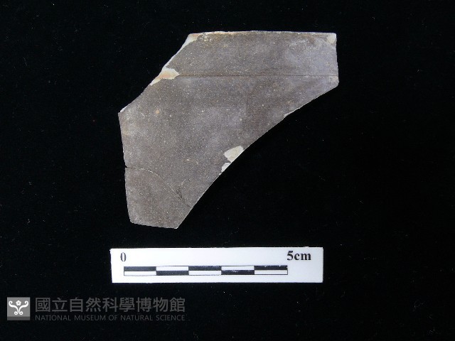 陶片藏品圖，第1張