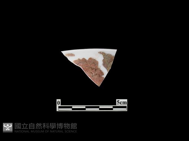 帶紋飾瓷片藏品圖，第1張