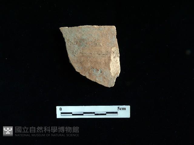 陶片藏品圖，第1張