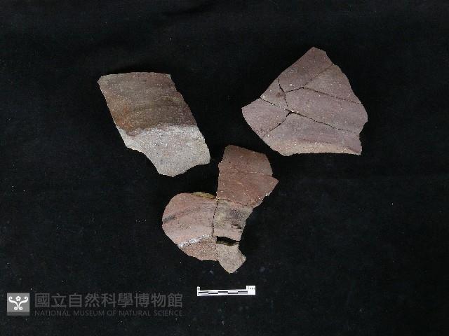 陶片藏品圖，第2張