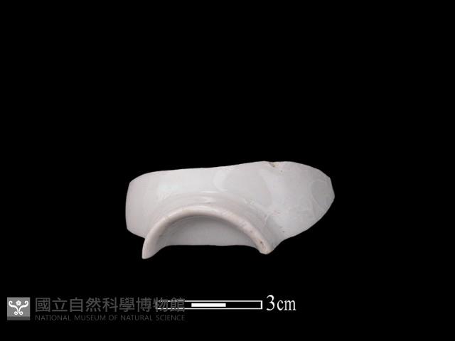 帶紋飾瓷片藏品圖，第1張