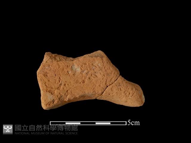 連杯形器藏品圖，第1張