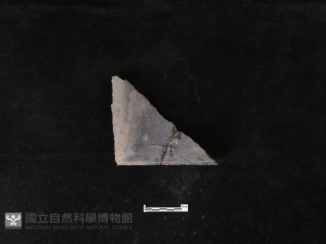瓦片藏品圖，第1張