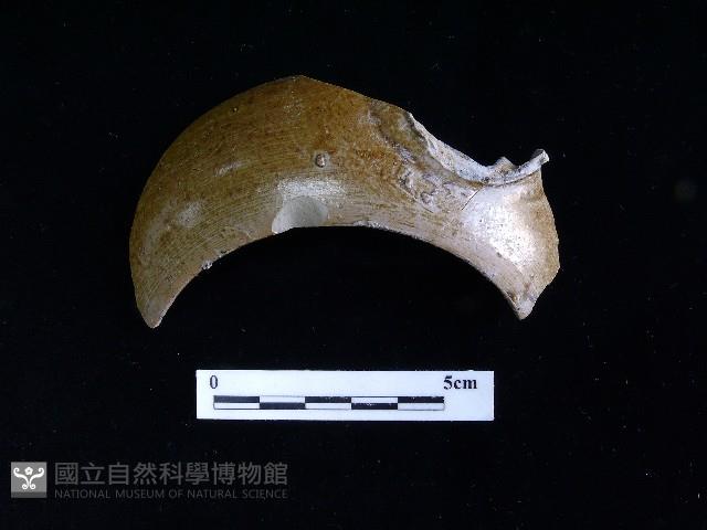 陶壺藏品圖，第1張