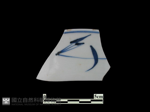 帶紋飾瓷片藏品圖，第1張
