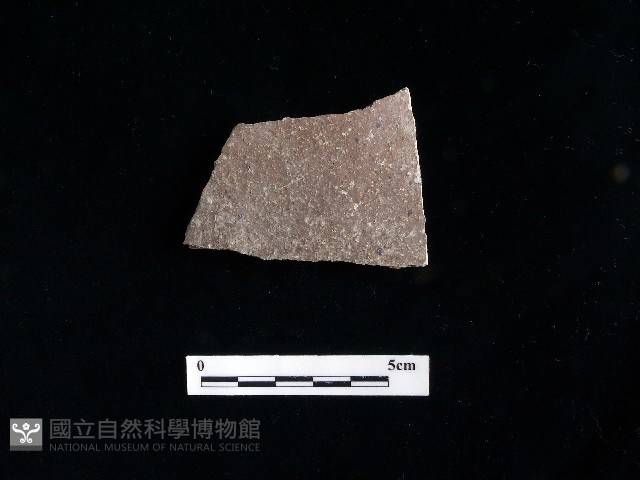 陶片藏品圖，第1張