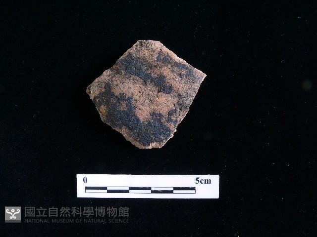 硬陶蓋藏品圖，第1張