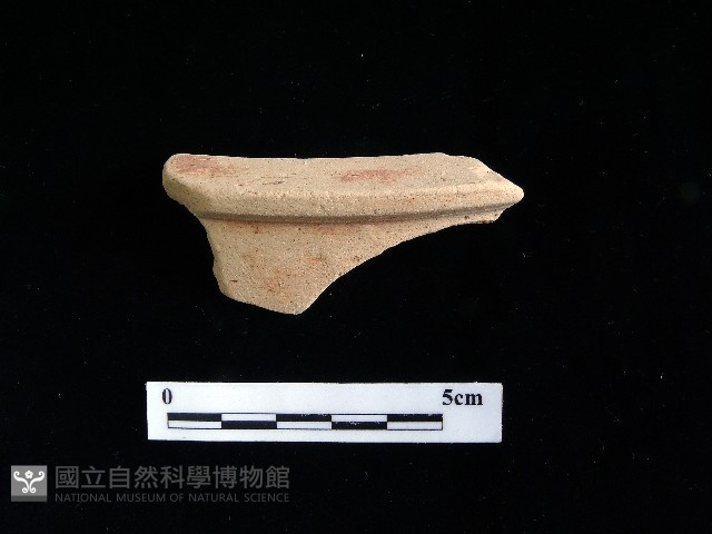 陶片藏品圖，第2張