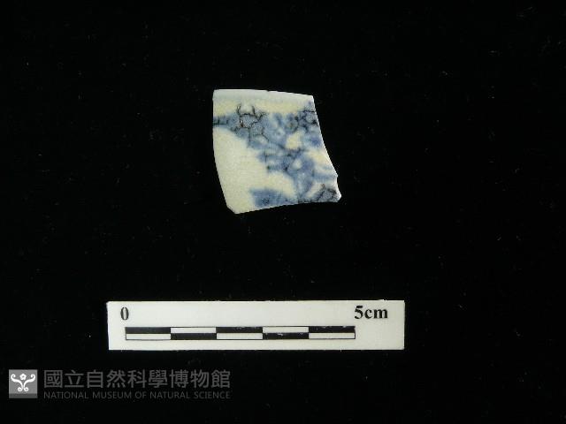 瓷片藏品圖，第1張