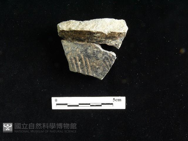 陶片藏品圖，第1張