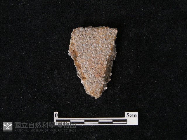 陶片藏品圖，第1張