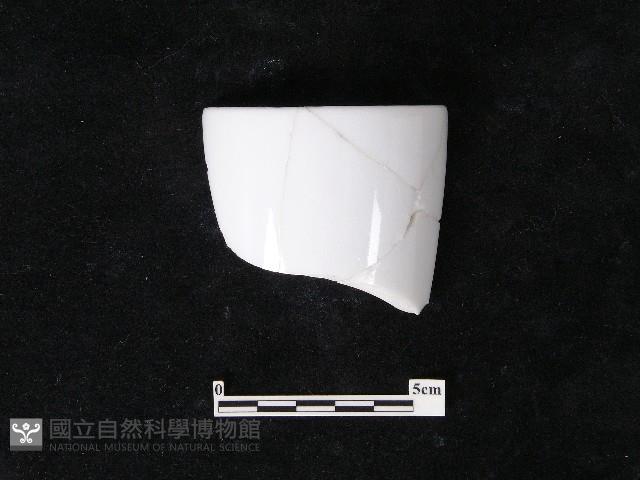 瓷片藏品圖，第2張