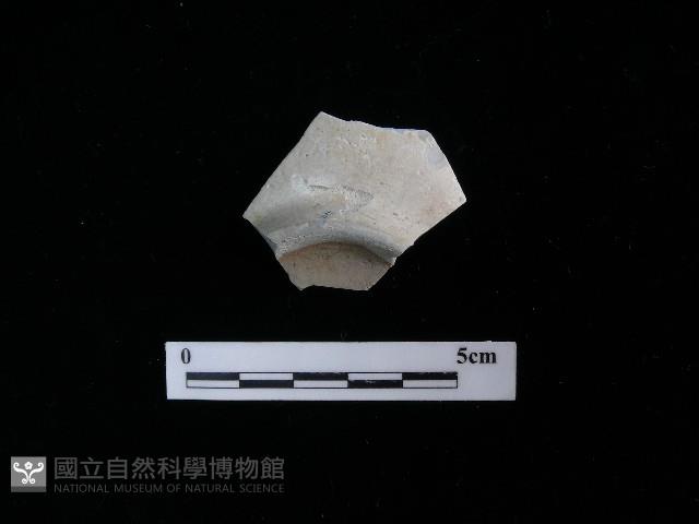 瓷片藏品圖，第2張