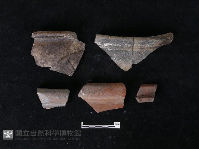 Accession Number:TCT-E2-SW001 Collection Image, Figure 1, Total 2 Figures