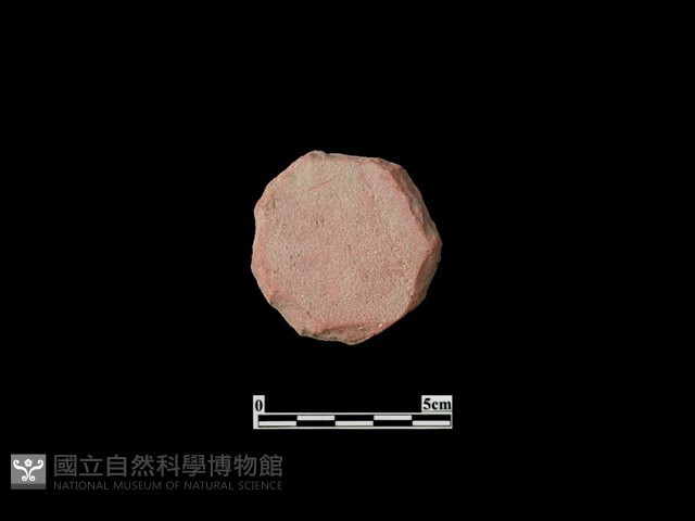 玩具藏品圖，第2張