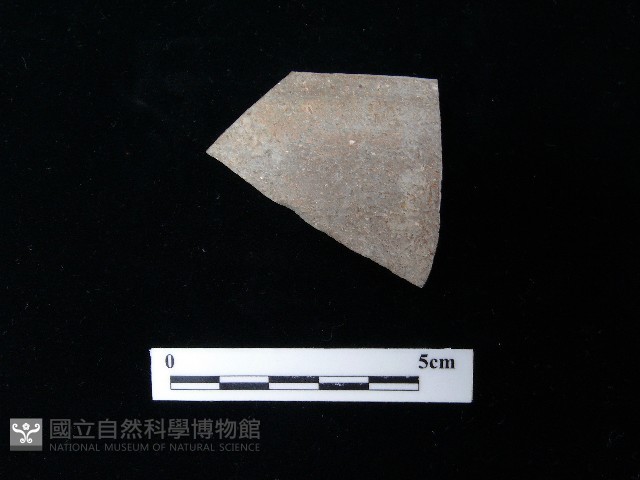 陶片藏品圖，第2張
