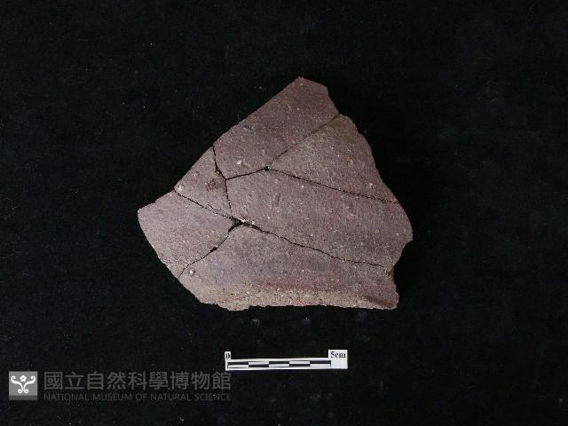 陶片藏品圖，第2張