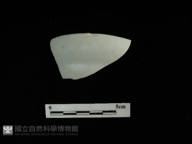 瓷盤藏品圖，第1張