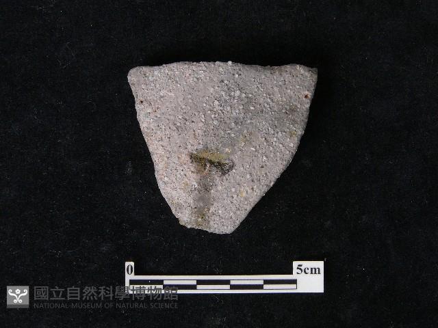 陶片藏品圖，第2張