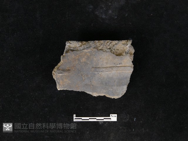 瓦片藏品圖，第1張