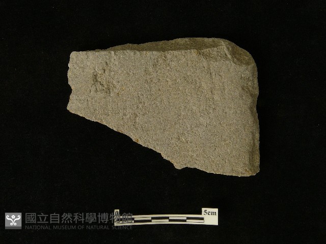 磨製斧鋤形器藏品圖，第1張