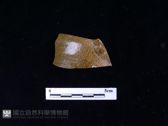 陶壺藏品圖，第2張