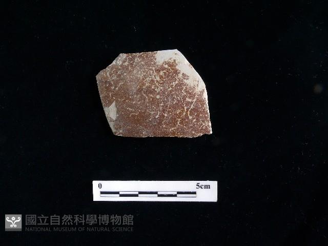 陶片藏品圖，第2張