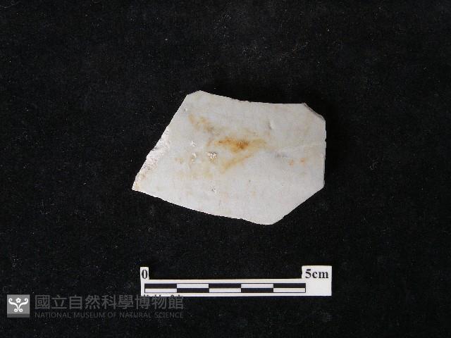 瓷片藏品圖，第2張