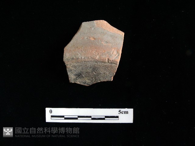 硬陶蓋藏品圖，第1張
