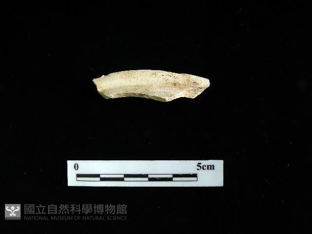 壺蓋藏品圖，第2張