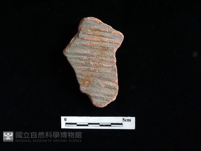 陶片藏品圖，第1張