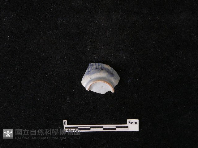 瓷杯藏品圖，第2張