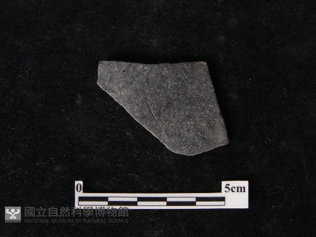 陶片藏品圖，第2張