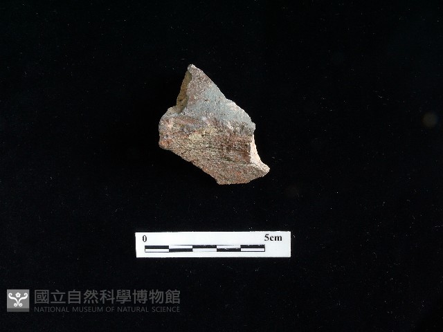陶片藏品圖，第2張