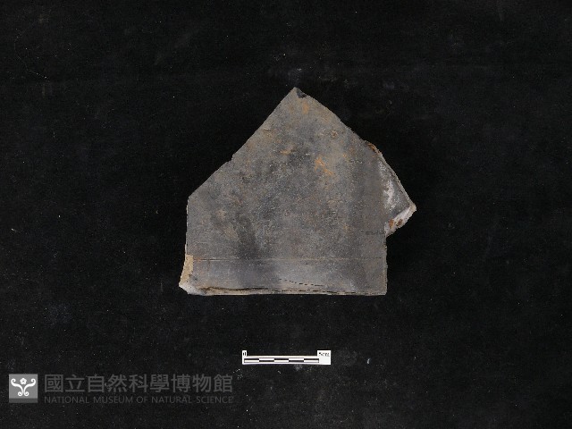 瓦片藏品圖，第1張