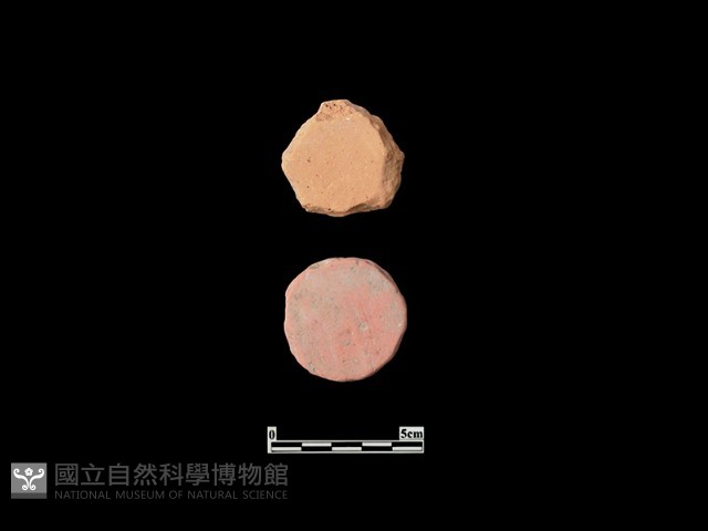 玩具藏品圖，第1張
