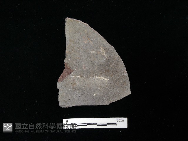 陶片藏品圖，第2張