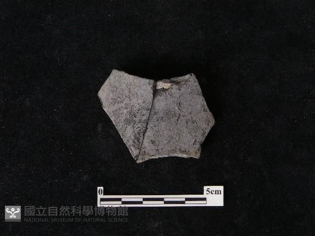 陶片藏品圖，第2張