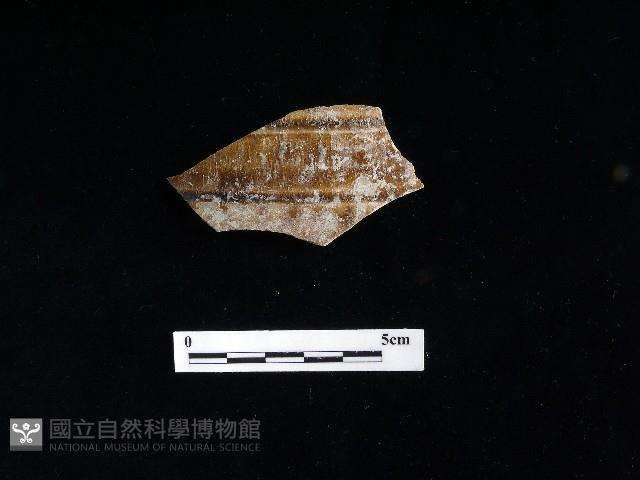 陶片藏品圖，第2張