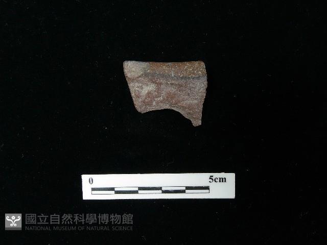 陶片藏品圖，第1張