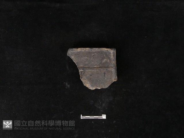 瓦片藏品圖，第2張