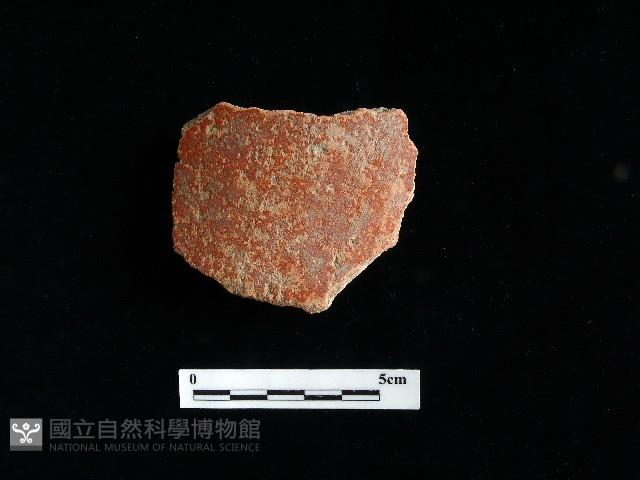 陶片藏品圖，第2張